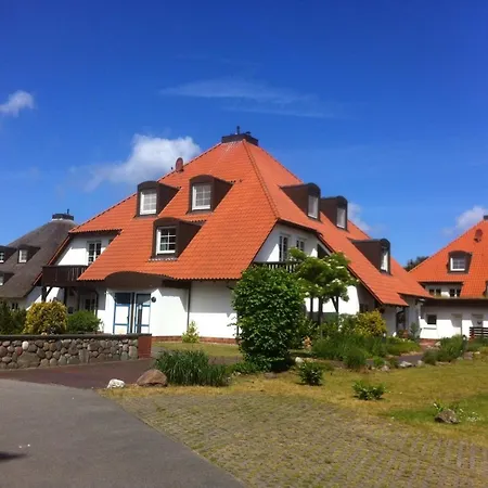 Resi P2 * פרראו